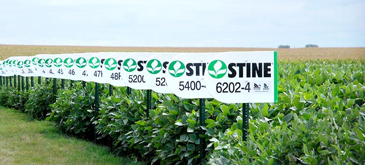 Understanding Stine’s Elite Yield Trials