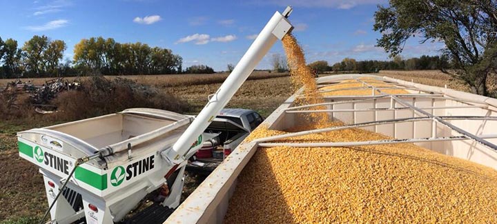 The Difference is Stine