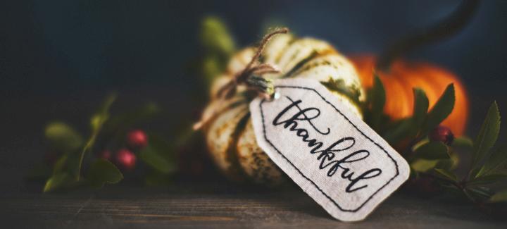 Harvesting Gratitude