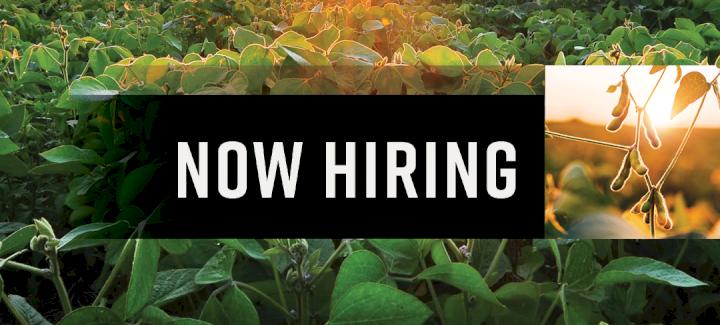 Stine Seeks Additional Independent Sales Reps