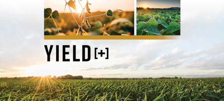Introducing ... Yield+