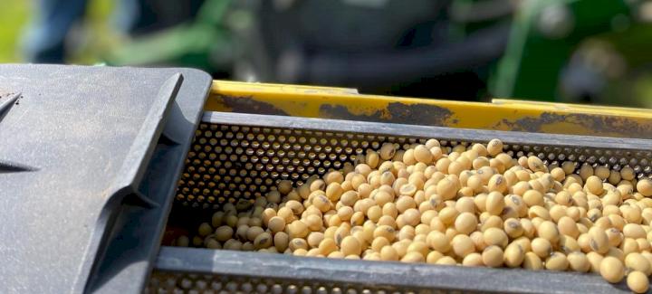 Plant ‘21 Progresses throughout the U.S.