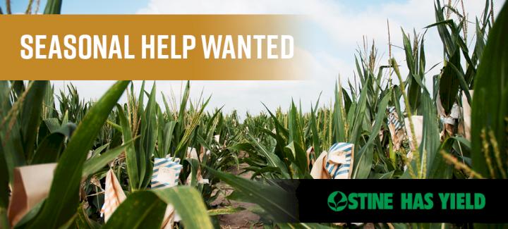 Now Hiring Seasonal, Full-Time Employees and Sales Team Members