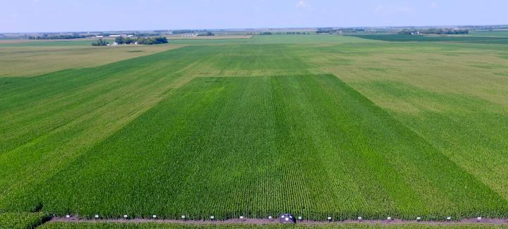 Stine® Crop Progress Report: Part 2