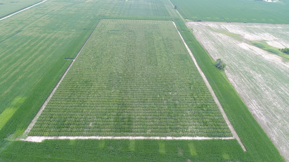 Use of drones in agriculture research