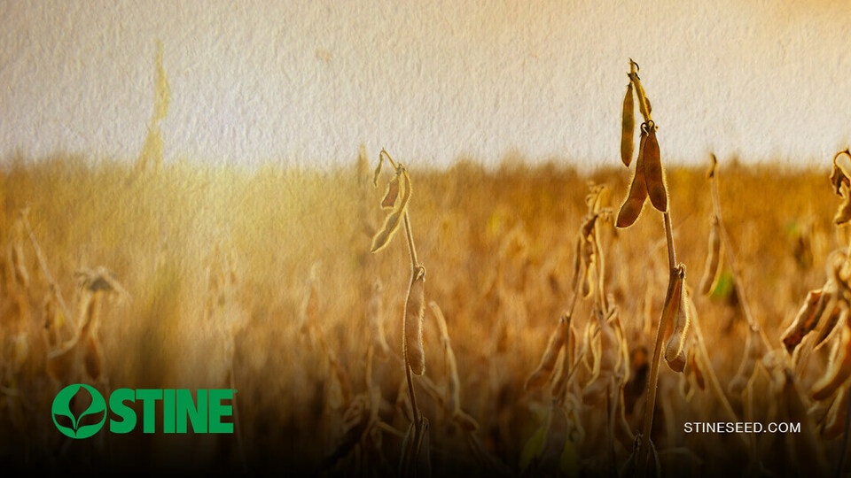 Stine® Harvest Roundup: Part 2