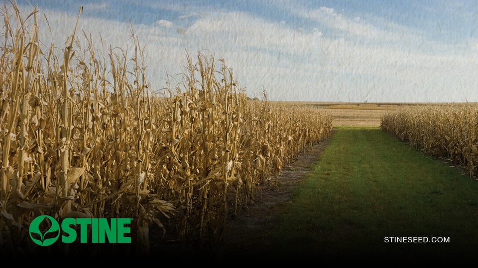 Top product picks for 2025