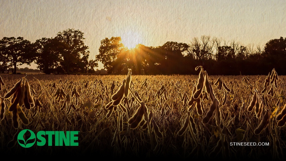 Part 2: Top product picks for 2025