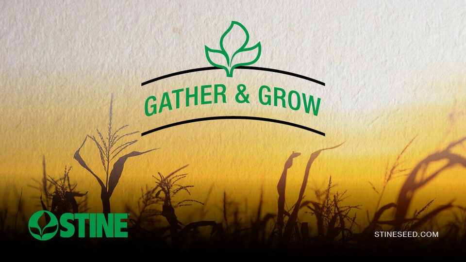 Gather & Grow with Stine®