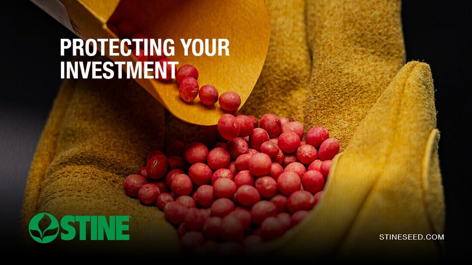 Protect your investment: The role of seed treatments for a healthy start
