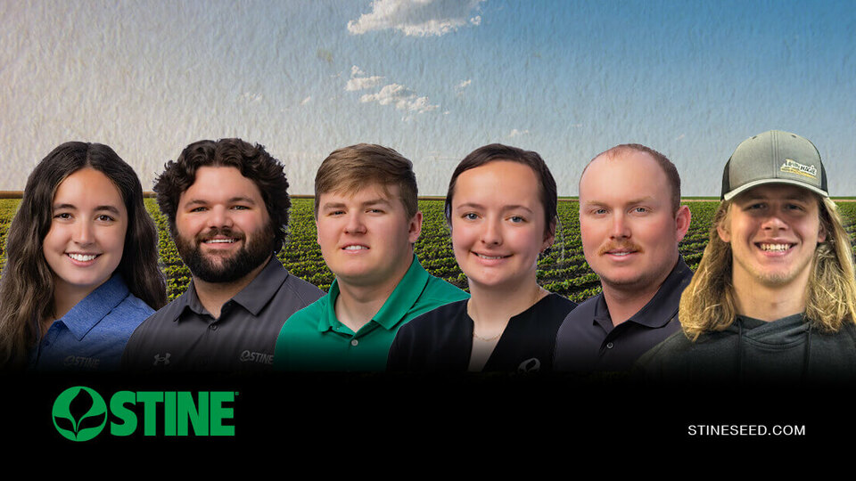 Meet our summer interns