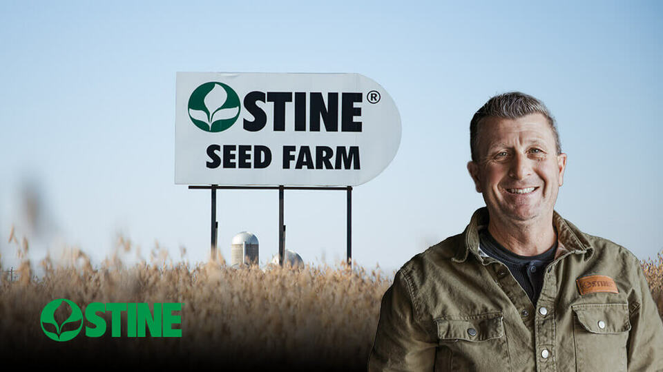 A closer look at harvest on the Stine® Seed Farm