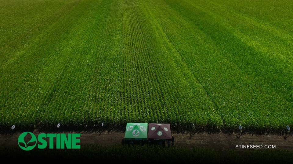 Strong yields, strong confidence: What this year’s PDP corn trends mean for you