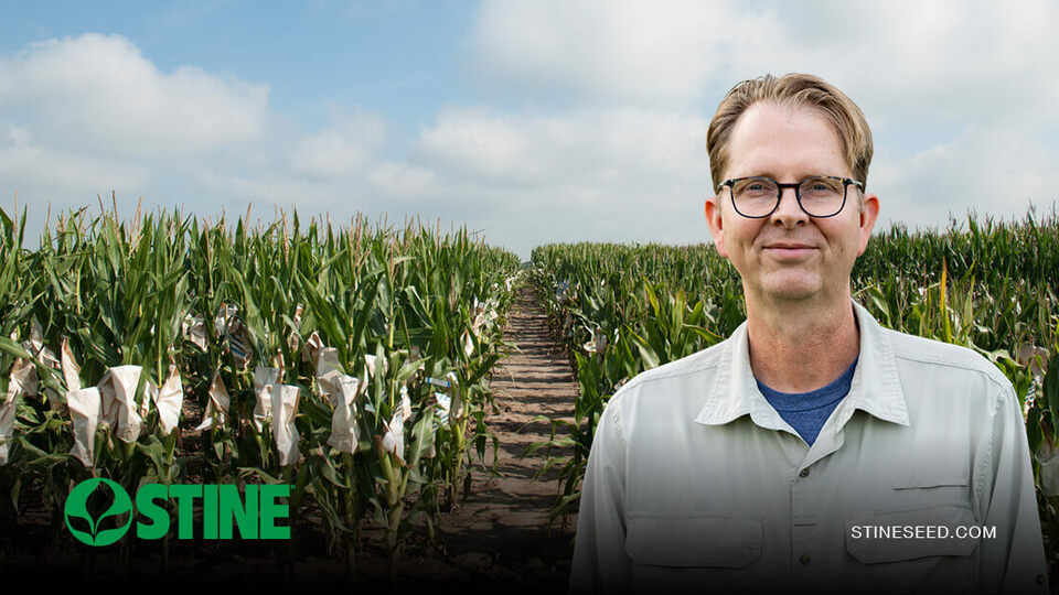 Corn production growth paves way for more high-performing Stine® hybrids