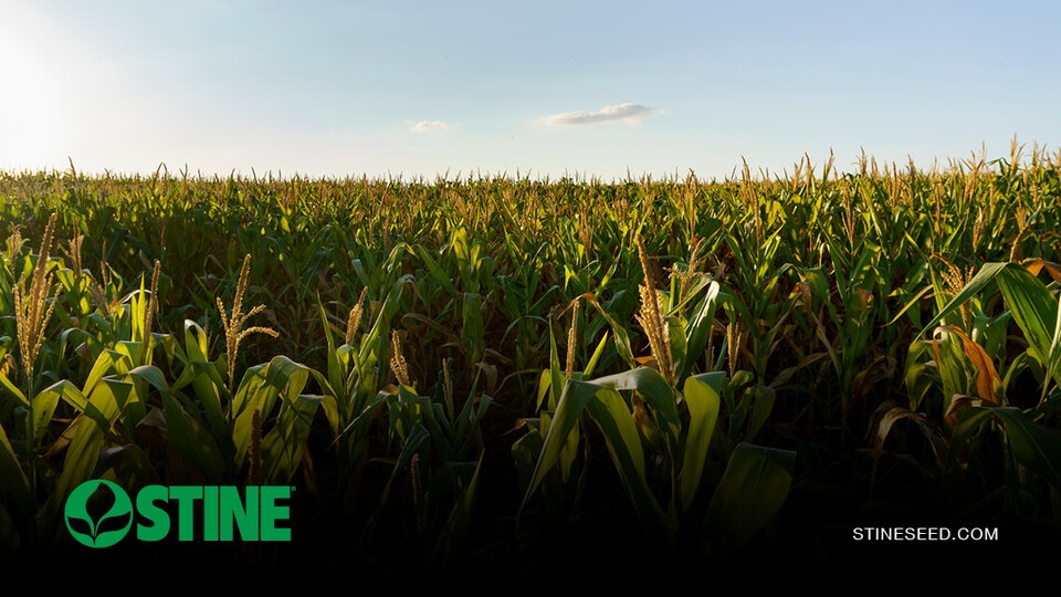 Crop watch: Late-season issues to catch before you combine