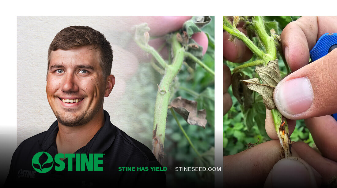 Daniel Greblunas, Stine• field agronomist