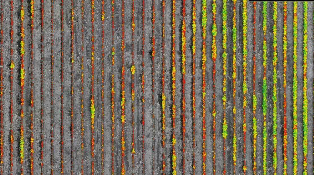 High IDC score is in red, good IDC performance is in green.