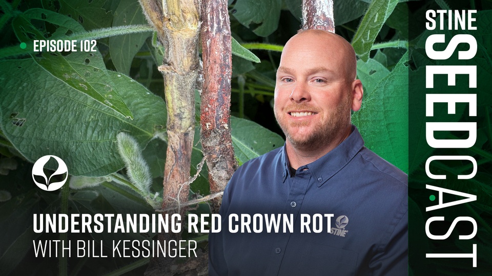 Episode 102: Understanding Red Crown Rot With Bill Kessinger